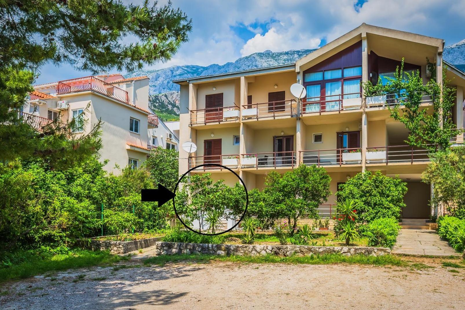 Apartments Agneza Tučepi エクステリア 写真
